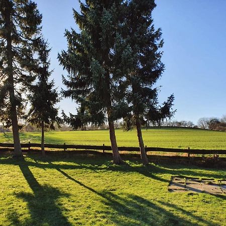 Ferienwohnung Daliah Wangels Dış mekan fotoğraf